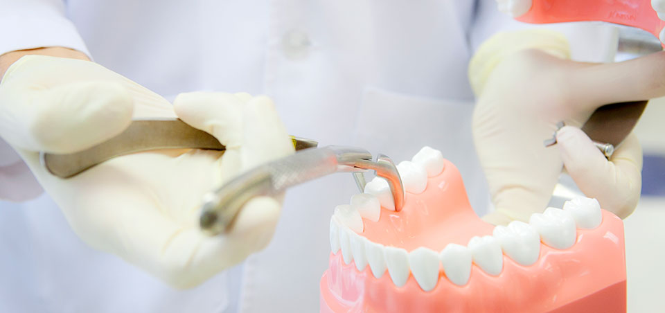 13062557163245 facultyEN Dental Medicine 2